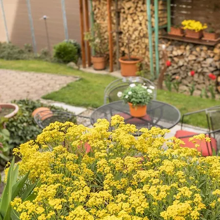 Haus Schneider * Kressbronn am Bodensee