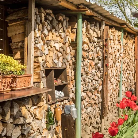 Haus Schneider Lägenhet *