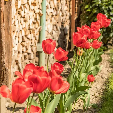 Apartamento Haus Schneider Kressbronn am Bodensee