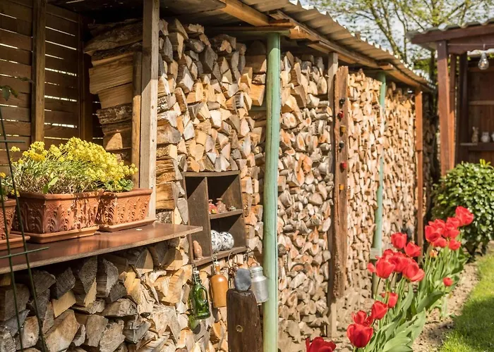 Haus Schneider Διαμέρισμα *