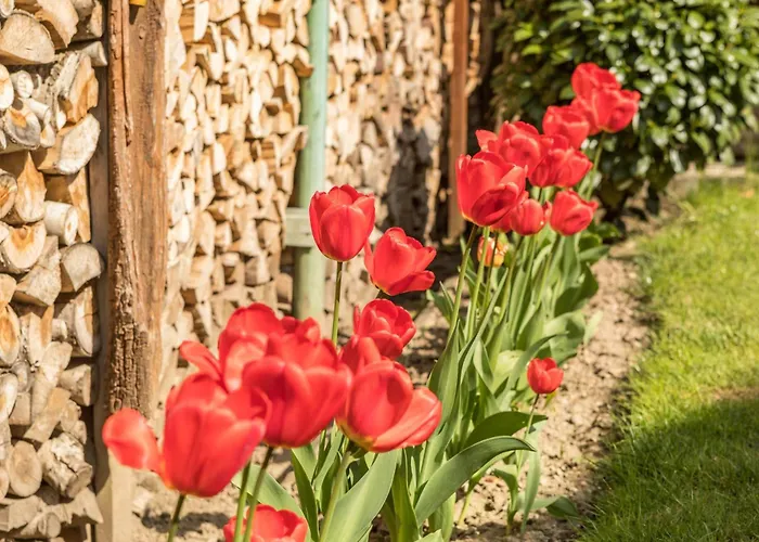 Διαμέρισμα Haus Schneider Kressbronn am Bodensee